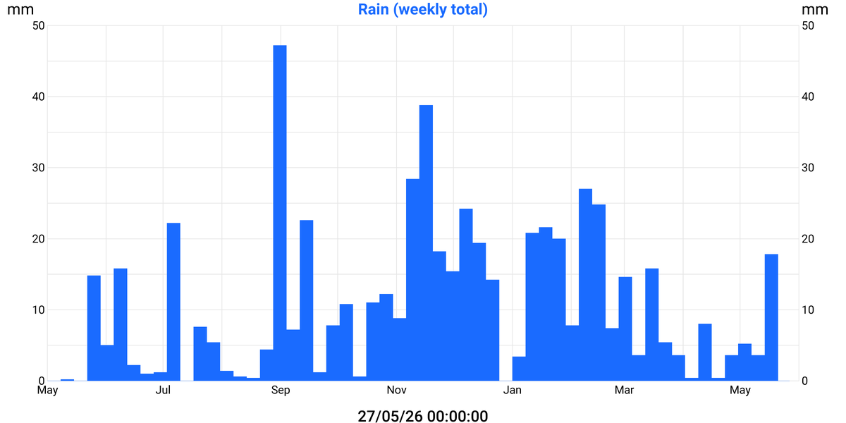 Rain